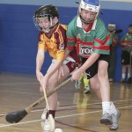 PRIMARY SCHOOLS EASTERN INDOOR HURLING