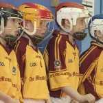 PRIMARY SCHOOLS EASTERN INDOOR HURLING