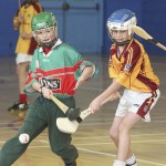 PRIMARY SCHOOLS EASTERN INDOOR HURLING