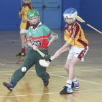 PRIMARY SCHOOLS EASTERN INDOOR HURLING