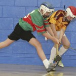 PRIMARY SCHOOLS EASTERN INDOOR HURLING