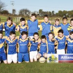 Co.Primary Schools Allianz Football Finals.