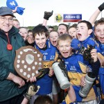 Co.Primary Schools Allianz Football Finals