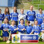 Allianz Eastern Primary Schools Camogie Finals 2013