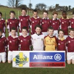 Co.Primary Schools Allianz Football Finals