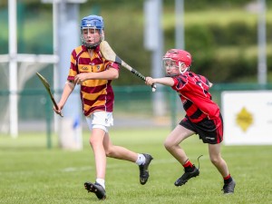 Eastern Allianz Cumann na mBunscol U13 Hurling Finals