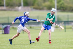 Eastern Allianz Cumann na mBunscol U13 Hurling Finals