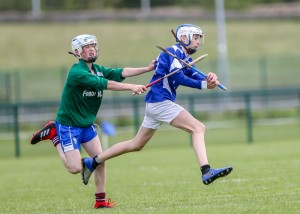 Eastern Allianz Cumann na mBunscol U13 Hurling Finals