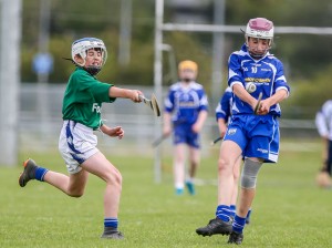 Eastern Allianz Cumann na mBunscol U13 Hurling Finals