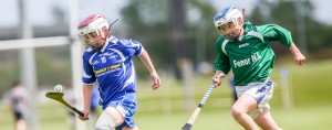 Eastern Allianz Cumann na mBunscol U13 Hurling Finals