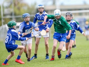 Eastern Allianz Cumann na mBunscol U13 Hurling Finals