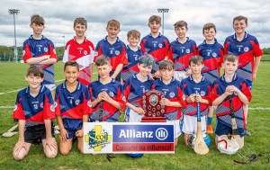 Eastern Allianz Cumann na mBunscol U13 Hurling Finals