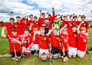 Eastern Allianz Cumann na mBunscol U13 Hurling Finals