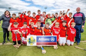 Eastern Allianz Cumann na mBunscol U13 Hurling Finals