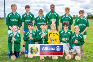 Eastern Allianz Cumann na mBunscol U13 Hurling Finals