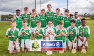 Eastern Allianz Cumann na mBunscol U13 Hurling Finals