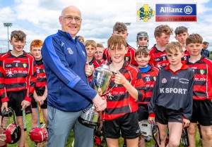 Eastern Allianz Cumann na mBunscol U13 Hurling Finals