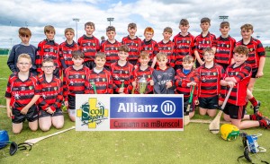 Eastern Allianz Cumann na mBunscol U13 Hurling Finals