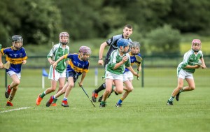 Eastern Allianz Cumann na mBunscol U13 Hurling Finals