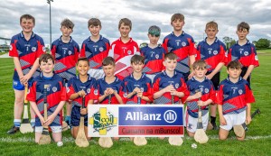 Eastern Allianz Cumann na mBunscol U13 Hurling Finals