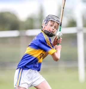 Eastern Allianz Cumann na mBunscol U13 Hurling Finals