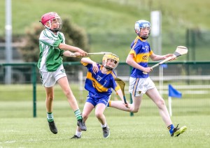 Eastern Allianz Cumann na mBunscol U13 Hurling Finals