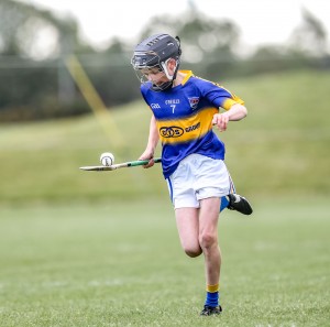 Eastern Allianz Cumann na mBunscol U13 Hurling Finals