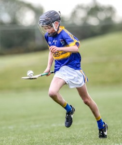 Eastern Allianz Cumann na mBunscol U13 Hurling Finals