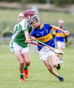 Eastern Allianz Cumann na mBunscol U13 Hurling Finals