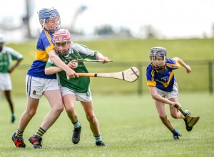 Eastern Allianz Cumann na mBunscol U13 Hurling Finals