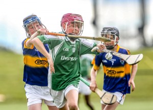 Eastern Allianz Cumann na mBunscol U13 Hurling Finals