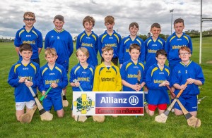 Eastern Allianz Cumann na mBunscol U13 Hurling Finals