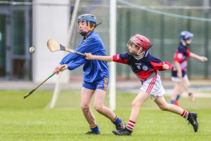 Eastern Allianz Cumann na mBunscol U13 Hurling Finals