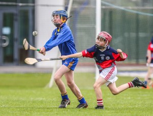 Eastern Allianz Cumann na mBunscol U13 Hurling Finals