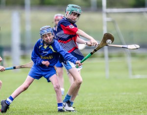 Eastern Allianz Cumann na mBunscol U13 Hurling Finals