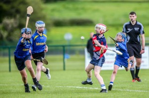 Eastern Allianz Cumann na mBunscol U13 Hurling Finals