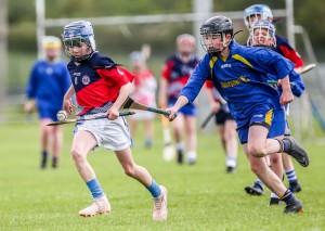 Eastern Allianz Cumann na mBunscol U13 Hurling Finals