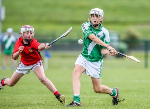 Eastern Allianz Cumann na mBunscol U13 Hurling Finals