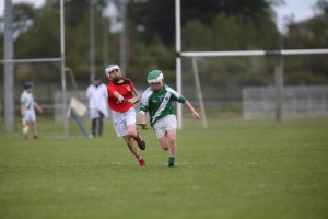 Eastern Allianz Cumann na mBunscol U13 Hurling Finals