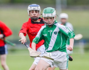 Eastern Allianz Cumann na mBunscol U13 Hurling Finals