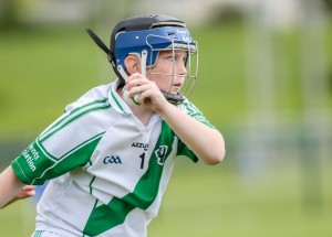 Eastern Allianz Cumann na mBunscol U13 Hurling Finals