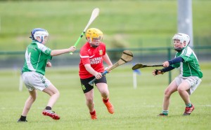 Eastern Allianz Cumann na mBunscol U13 Hurling Finals