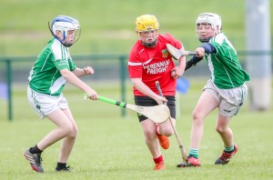 Eastern Allianz Cumann na mBunscol U13 Hurling Finals