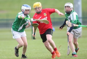 Eastern Allianz Cumann na mBunscol U13 Hurling Finals