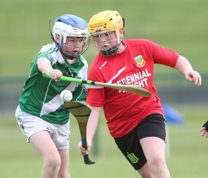 Eastern Allianz Cumann na mBunscol U13 Hurling Finals