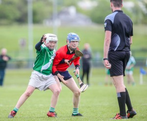 Eastern Allianz Cumann na mBunscol U13 Hurling Finals