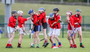 Eastern Allianz Cumann na mBunscol U13 Hurling Finals