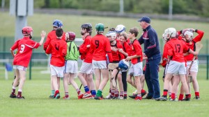 Eastern Allianz Cumann na mBunscol U13 Hurling Finals