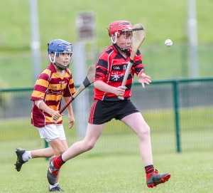 Eastern Allianz Cumann na mBunscol U13 Hurling Finals