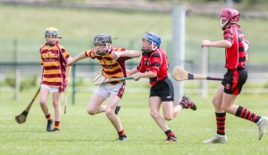 Eastern Allianz Cumann na mBunscol U13 Hurling Finals